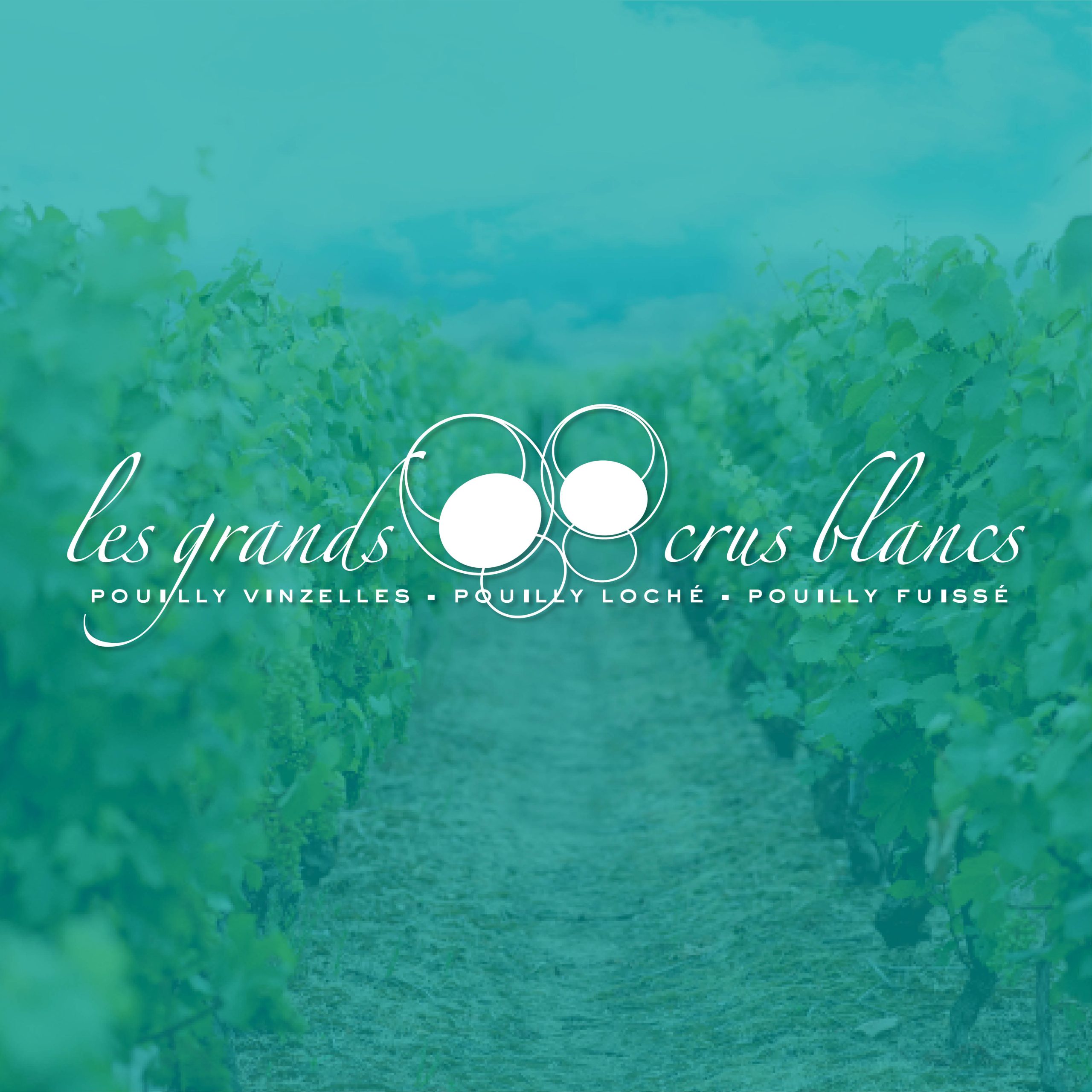  Les Grands Crus Blancs